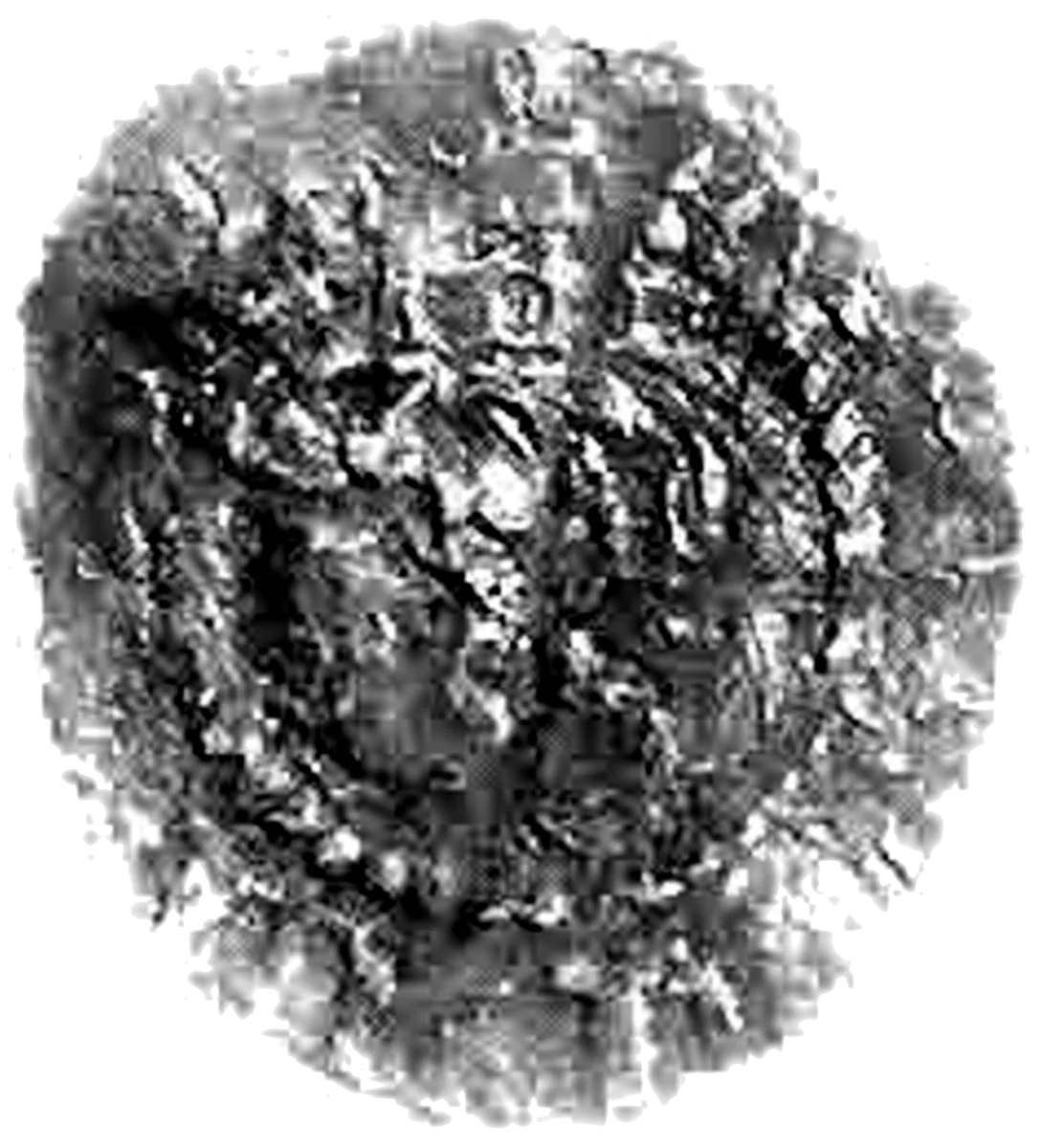 Henry VII Farthing Facing Bust Issue obverse Type 1 enlarged