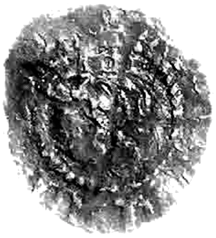 Henry VII Farthing Facing Bust Issue obverse Type 1